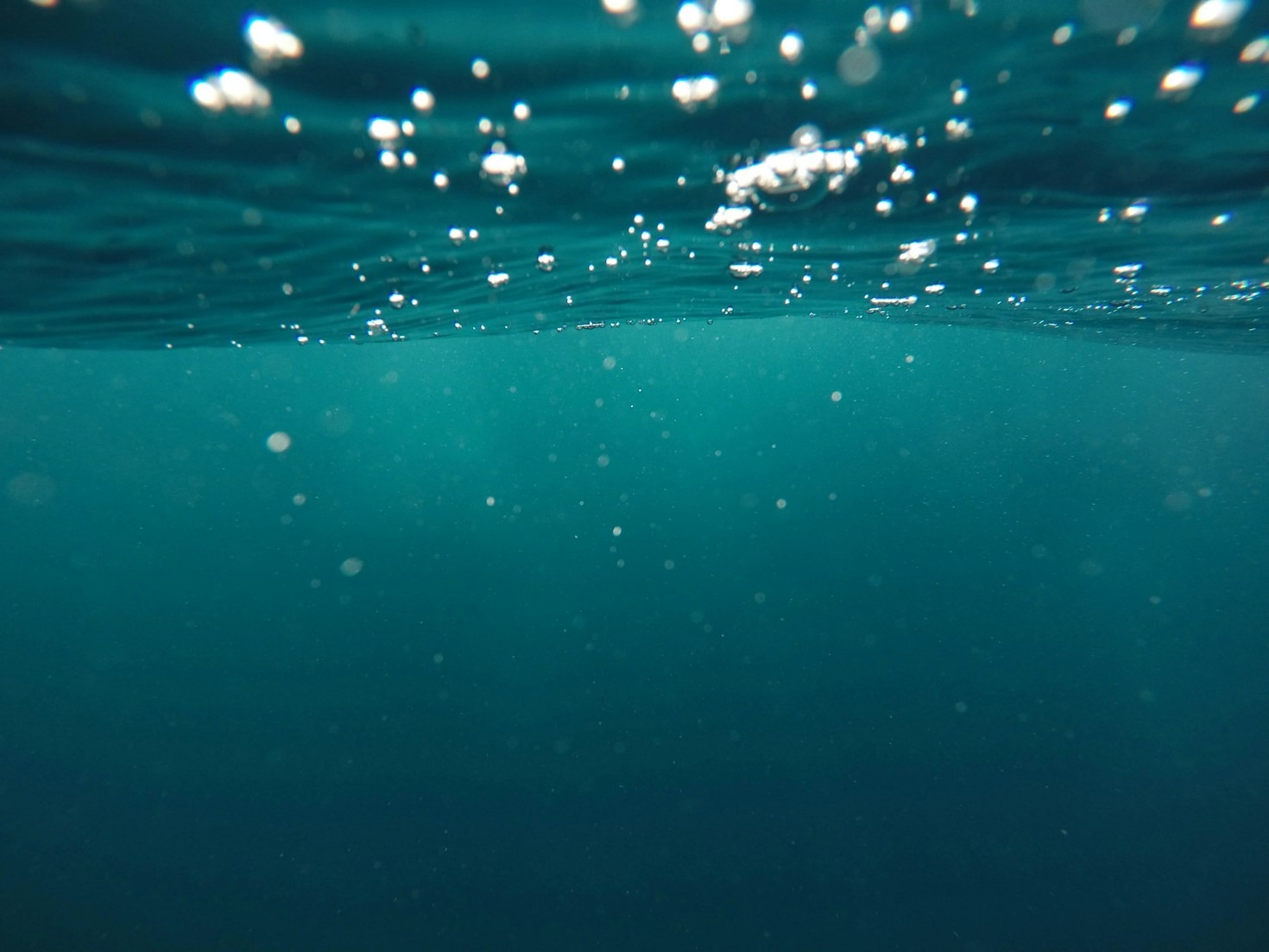 How Modern Technology Enhances Marine Research