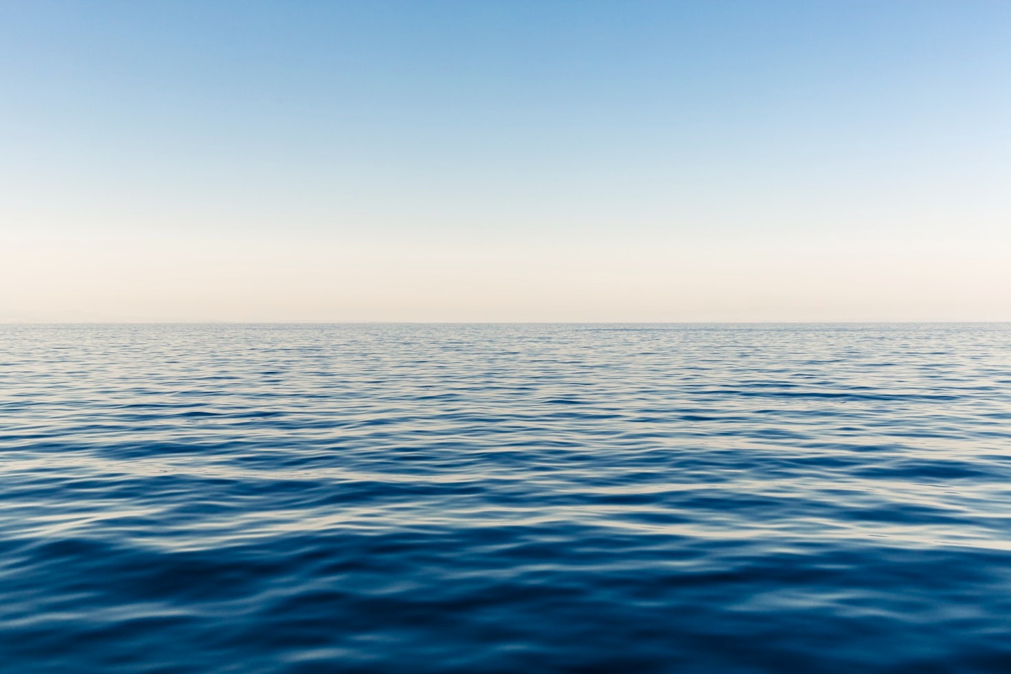 Methods Used To Observe Elusive Marine Life